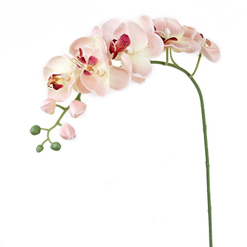 1 Pièce Orchidée Papillon Fleur Artificielle Po...