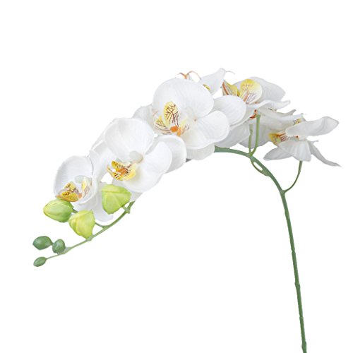 1 Pièce Orchidée Papillon Fleur Artificielle Po...
