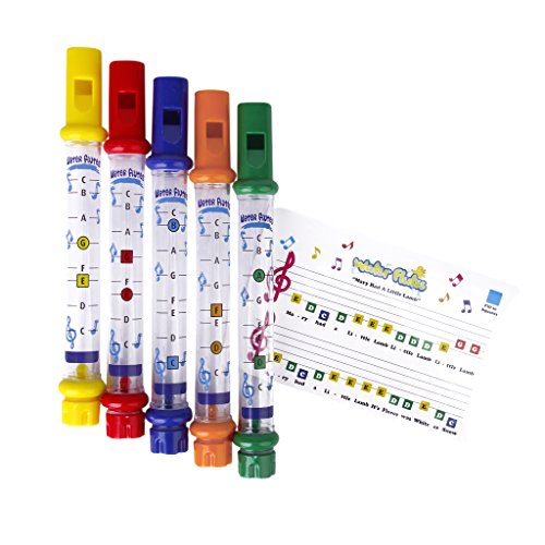 Flûtes d'eau Jouets Instruments de Musique pour...