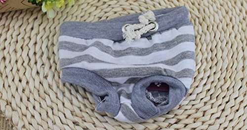 Dogs Kingdom En coton à rayures pour chien couches couches lavable réutilisable pour femme bandeau chiot pet chiot sous-vêtements culotte sanitaire pour petit chien code EAN 0685456262693 