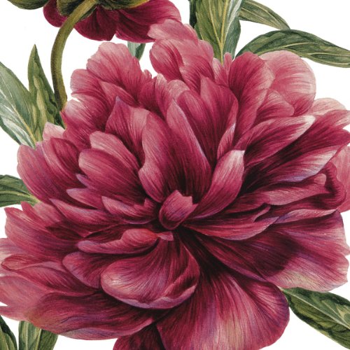 IHR Caskata Studio caskata Studio Pivoines Rose de Luxe traditionnel Papier Déjeuner Serviettes de table Lot de 20 33 cm squarek 0686423573859 (0686423573859)