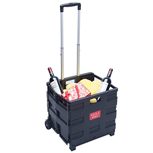 DXP-Cuisine & ménage DXP Chariot Pliant Chariot de rangement Sac et Cabat avec Roulette 35 kg WS-01 code EAN 0690208871740 