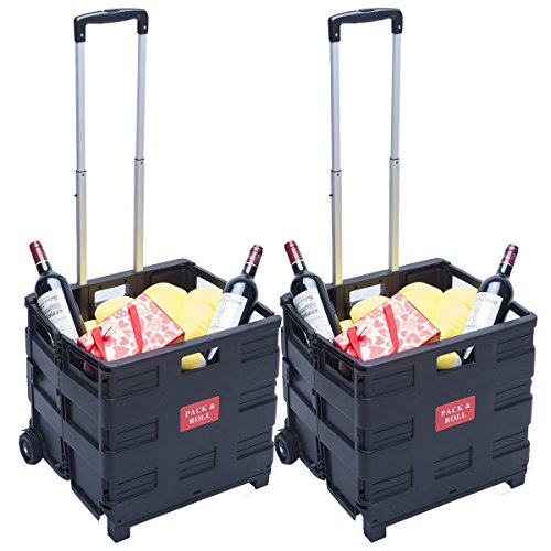 DXP 2x Chariot Pliant Chariot de rangement Sac ...