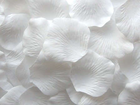 FreshGadgetz 1000 Pétales de Rose en Soie pour Mariage - Couleur blanc(1000 white petals) code EAN 0700953774675 