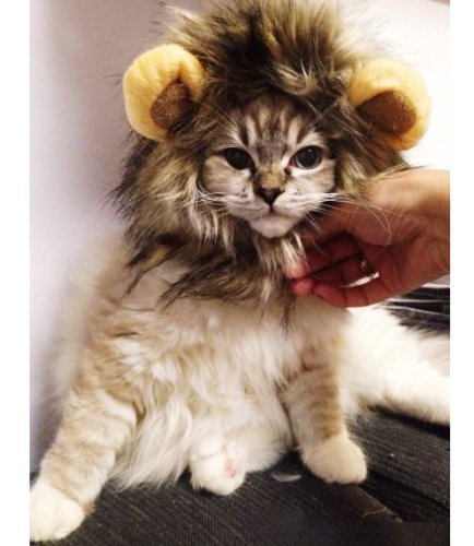 Dogloveit Costume de lion pour animal avec perruque et oreilles 0701256002007 (0701256002007)