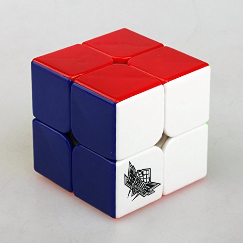 Icollect® 2x2x2 vitesse ultra lisse puzzle puzzle magique cube-1 pcs code EAN 0701630865648 