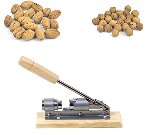 Casse-noix casse-noisette manuel en métal pour fruit à coque 0702383579806 Outop