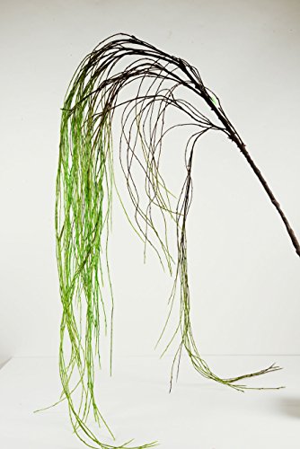 Branche en plastique vert L?: environ 220 cm Saule