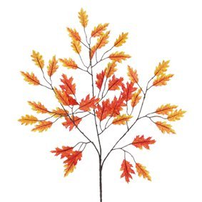 Branche de chêne Multicolore Déco HxB?: 60 x 28...