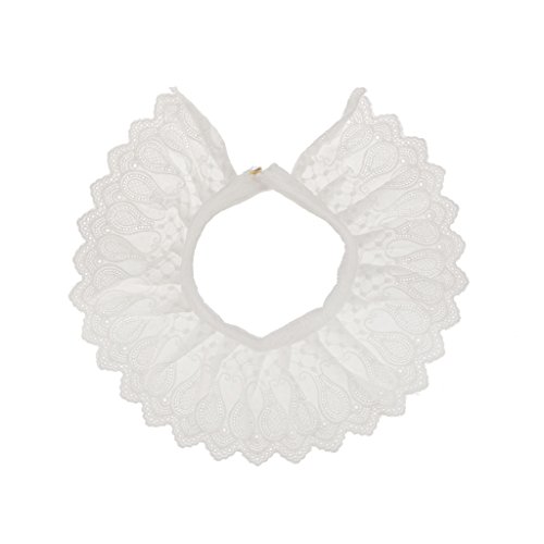 Phenovo Col Faux Peter Pan Blanc Amovible en Dentelle Coton Ornement de Chemise Blouse Femmes 0706433748754 Générique