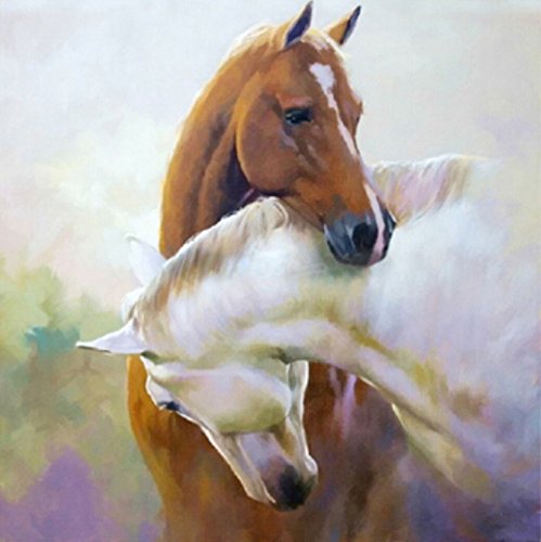 Unbekannt Set Diamond Painting strass mosaïque image bricolage Kit de bricolage pierres 2 Chevaux code EAN 0706686830558 