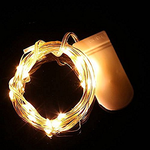 Folowish Guirlandes Lumineuse Étanche Cuivre Fil 2m 20-LEDs Chaine de lampes décoration Noël mariage anniversaire - Blanche chaude 0708478754981 (0708478754981)