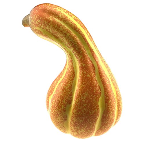 Gresorth 1pc artificiel automne courbé citrouille décor faux jaune citrouilles halloween fête décoration code EAN 0709803221550 