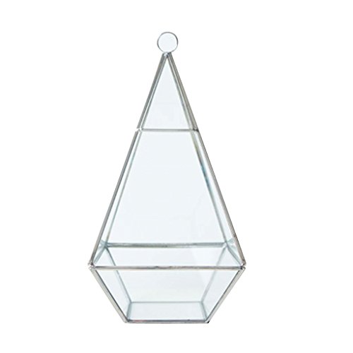 Maison Serre Vase en Verre Forme de Diamant à S...