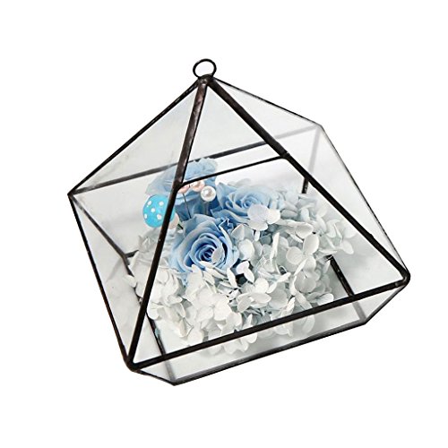 Maison Serre Vase en Verre Forme de Diamant à S...