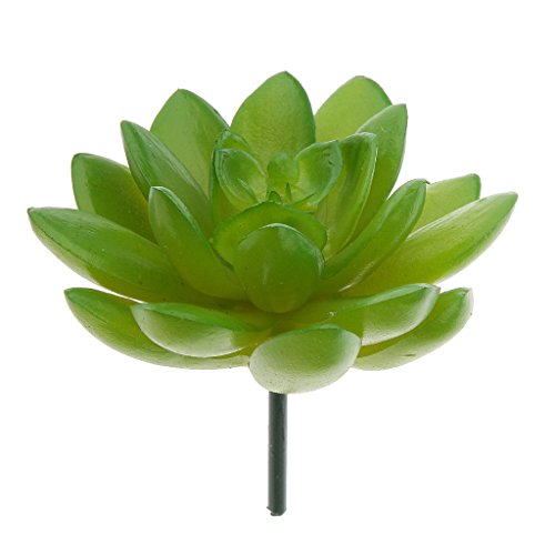 Fleur Feuillage Plante Succulente Artificielle ...