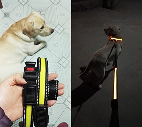 [Aution House-2 et 1 Collier LED Aurore Permane...