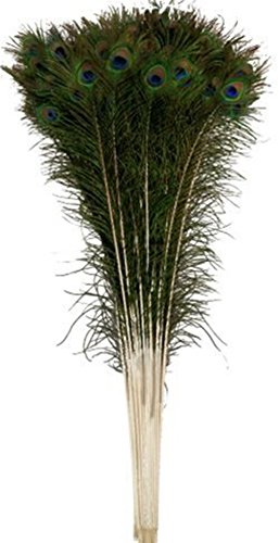 20pcs plumes de paon artificielles pour décorat...