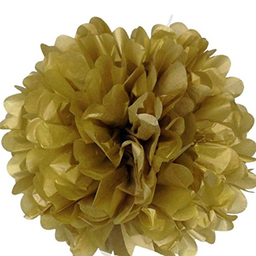 Life Is Amazing Decoration Lot de 5 pompons en papier de soie Boule de fleurs Pompons de mariage extérieur Décoration de mariage de mariage Decor Pompons Craft Doré, doré, 20 cm code EAN 0713803701707 