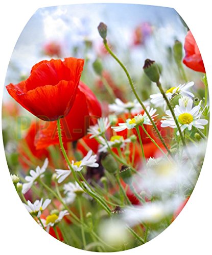 Sticker Autocollant Abattant WC Nature Champ de...