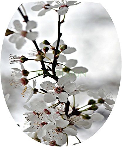 Sticker Autocollant Abattant WC Fleur de Cerisi...