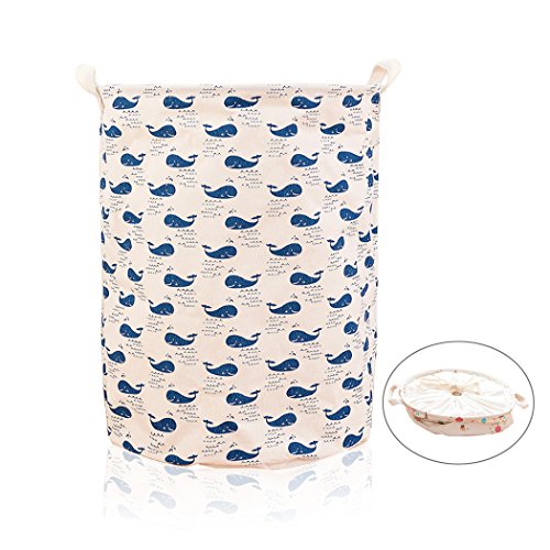 Premium bande dessinée de la lignée de cotonnie...