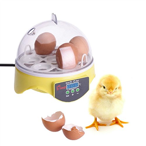 SmileyEU Mini Oeuf Couveuse Oeuf tournant Couvoir Oeuf incubateur automatique tournant Caille Oeuf Incubateur et Couvoir pour les oiseaux Poulet Pigeon Oeuf de caille code EAN 0714402665056 