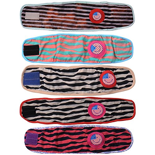 Bandeau/culotte sanitaire anti pipi pour chien ...