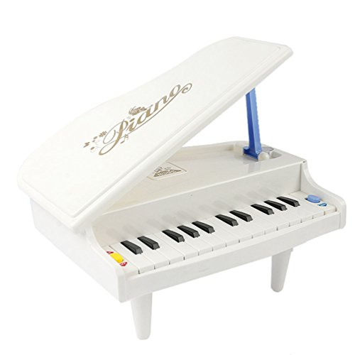 NAN KUN 14 Touches Multifonctionnelles Mini Simulation Jouets Piano pour Fille Garçon 3 Ans code EAN 0714439943189 