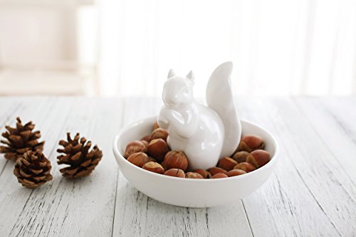La Jolie Muse Plaque latérale, bol et plaque décorative bol de noix, noisette en forme d'écureuil décore de maison, Design moderne et élégant (Nutkin Decorative Serving Plate) code EAN 0714485745270 