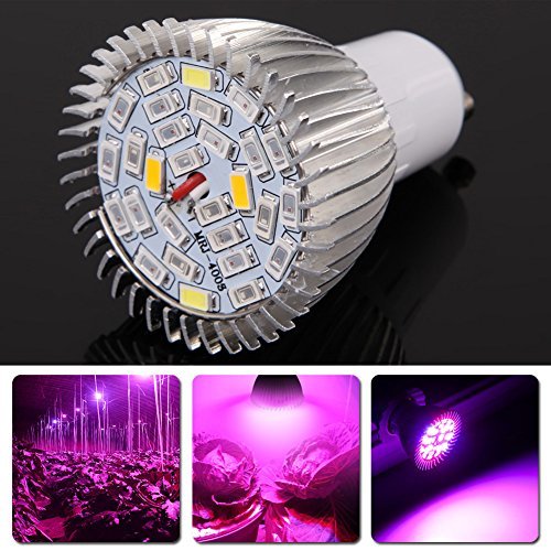 Lampe / lumière / ampoule de croissance de plante led ampoule de culture floraison spectre complet14w gu10 led pour plantes de jardin / plantes de maison 0714890147157 La Cabina Lampe / lumière / ampoule de croissance de plante led ampoule de culture floraison spectre complet14w gu10 led pour plantes de jardin / plantes de maison 0714890147157 La Cabina