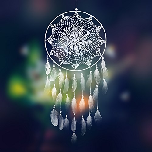 Indien dream catcher handemade attrape-rêves ca...