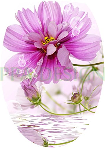 Sticker Autocollant Abattant WC Fleurs 35x42cm ...