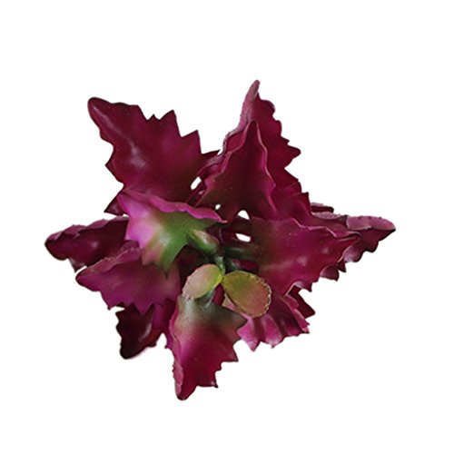 Sedum Plante Succulente Artificielle Grande Feu...