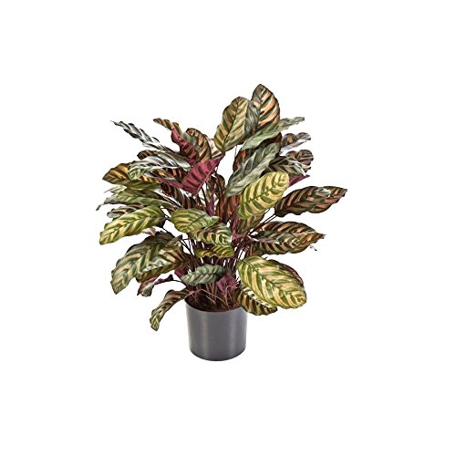 trachycarpus Plante artificielle Calathea, rouge, altitude 85cm - 88 feuilles code EAN 0722851512364 