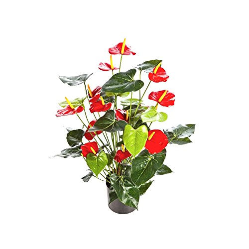 Plante artificielle Anthurium, rouge, altitude ...
