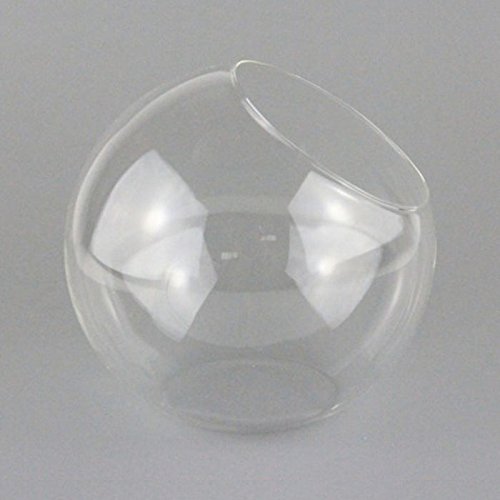 Vase en Verre Transparent Boule pour Plante Fle...