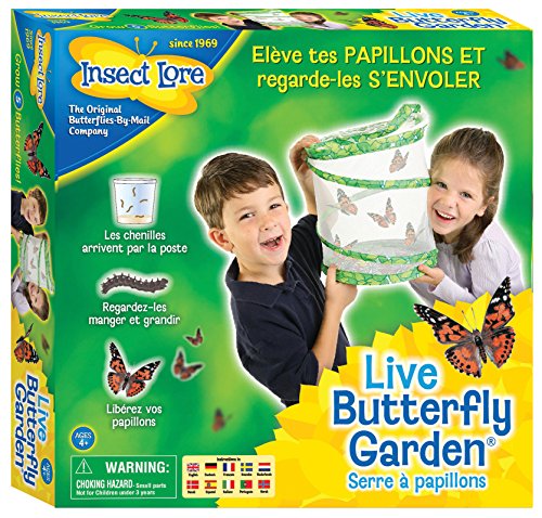 - 8010fr - elevage papillons - vert