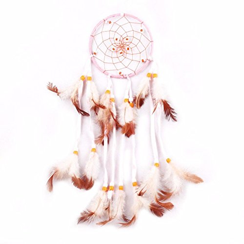 Home City Shop Fait main Dream Catcher avec plumes Mur Décoration à suspendre Décoration cadeau 0735757416735 (0735757416735)