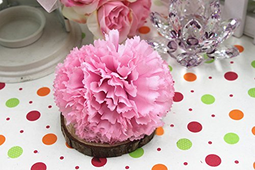 50 pcs Fleurs Artificielles de Carnation en Soi...
