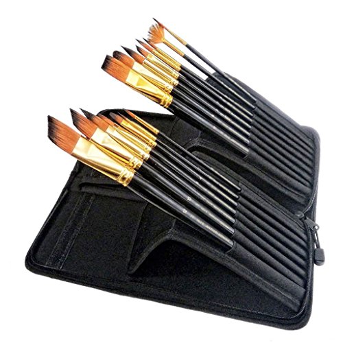 BTSKY 15 Long Art Lot de pinceaux d'artistes en...