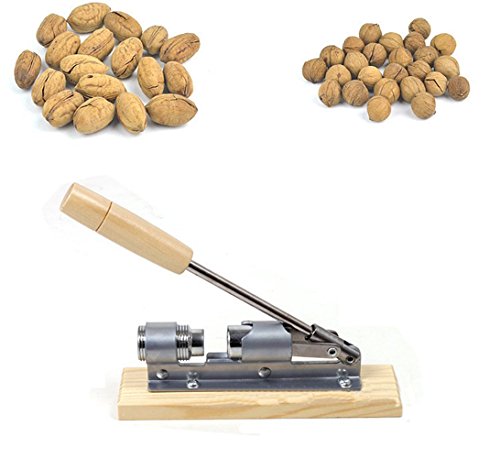 mylifeunit résistant Écrou Cracker Casse-noix N...