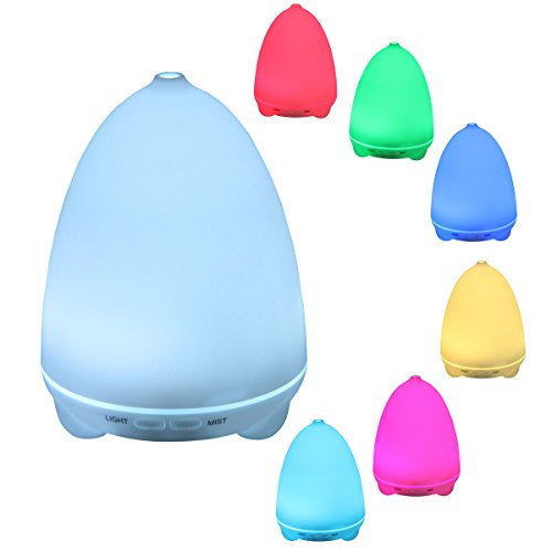 Diffuseur d'Huile Essentielle, SanSiDo 100ml Hu...