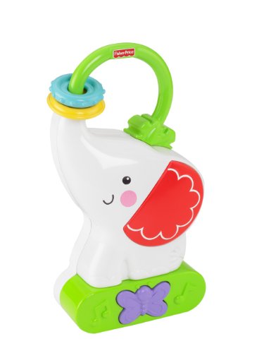 Fisher Price - Y6586 - Jouet de Premier Age - M...