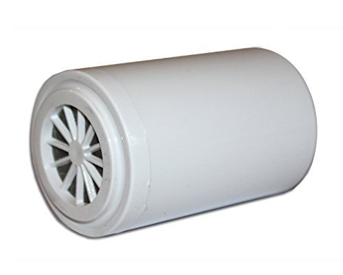 IcebergSPA® - Recharge pour filtre de douche Mi...