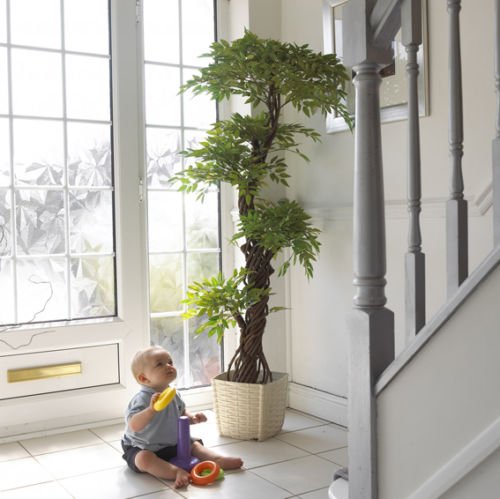 Élégant Luxury artificielle japonaise Fruticosa Arbre, Grand Replica / Faux plantes d'intérieur - 5 pi 4 po / 165cm de hauteur. Parfait pour la maison ou le bureau 0755746411176 Vert Lifestyle Élégant Luxury artificielle japonaise Fruticosa Arbre, Grand Replica / Faux plantes d'intérieur - 5 pi 4 po / 165cm de hauteur. Parfait pour la maison ou le bureau 0755746411176 Vert Lifestyle