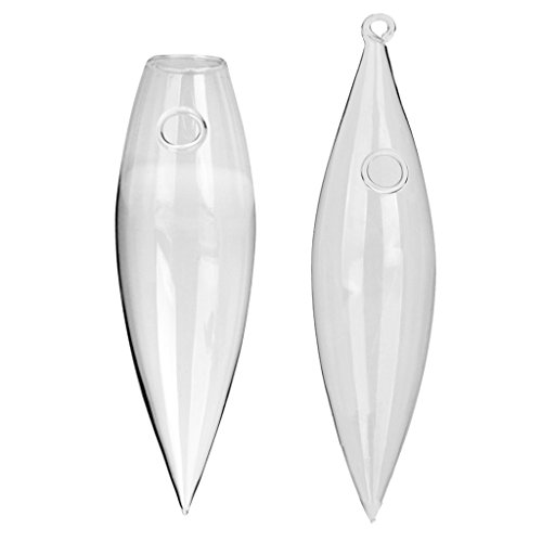 1 Paire Vase Mural & Suspendu en Verre Transpar...