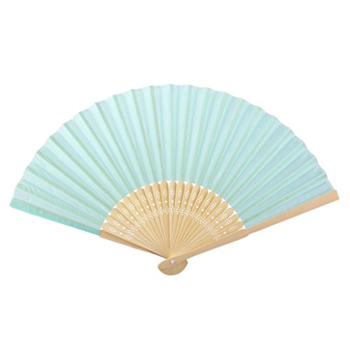 Eventail Uni Accessoire de Peinture DIY Décorat...
