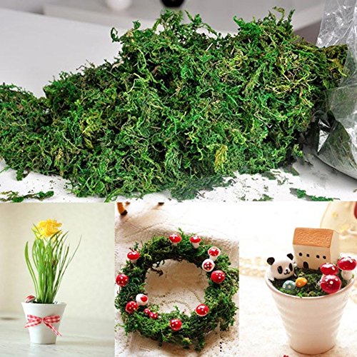 Artificielle fleurs séchées rennes de mousse pa...