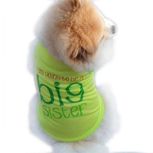 vêtements pour chien, Été Pet Cute Puppy petit ...